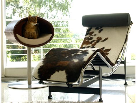 For all these trees, i mention. 10 Outrageously Expensive Gifts for the Pampered Cat - Catster