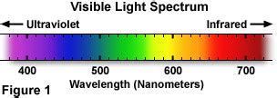 Do the spectral lines you observed indicate the presence of a particular gas? Molecular Expressions Microscopy Primer: Physics of Light ...