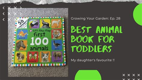 Best Book For Toddlers First 100 Animals By Roger Priddy Youtube