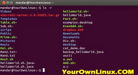 Basic Usage Of Ls Command In Linux With Examples Your Own Linux