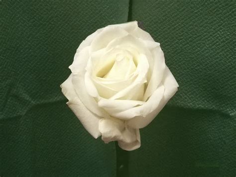 MCU fan fics — Untapped Abilities