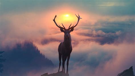 Reindeer Digital Art 4k Hd Artist 4k Wallpapers Image