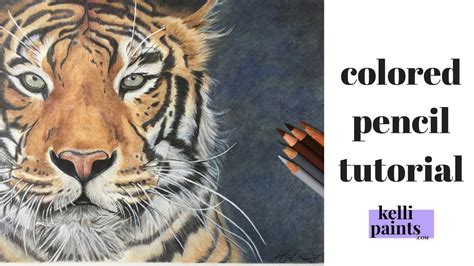 Colored Pencil Tutorial How To Draw A Tiger Youtube