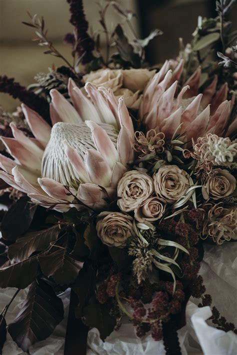 Roses And King Proteas Are An Unlikely Pairing But They Work Together