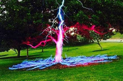 I Dont Want This Tree Long Exposure Photos Beautiful Nature