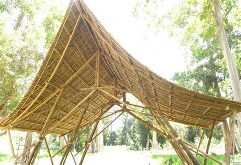 Bamboo Roofing