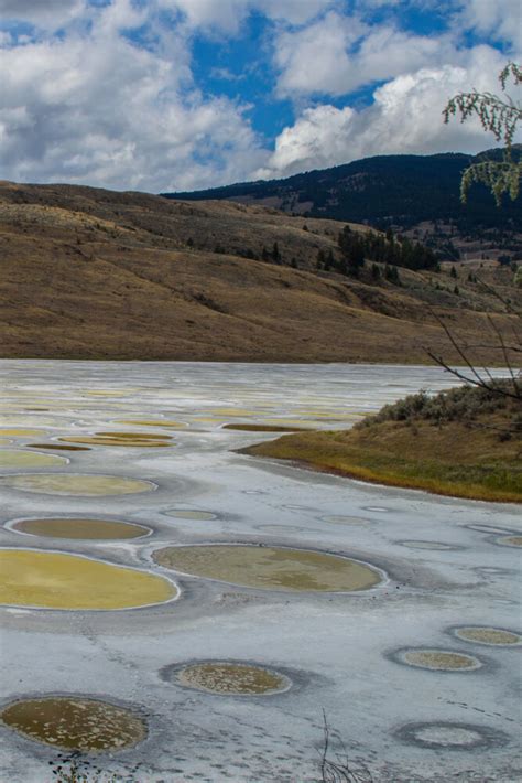 How To Visit Lake Kliluk Spotted Lake In Osoyoos Canada 2022 Facts
