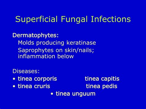 Ppt Fungal Infections Powerpoint Presentation Free Download Id554303