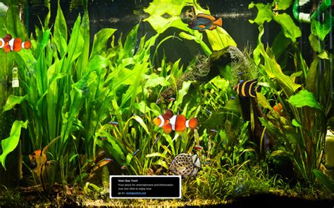 Typingclub ermöglicht schon den kleinsten unter uns, das schreiben am computer spielerisch zu. Vem Que Tem Aquarium Download | Freeware.de
