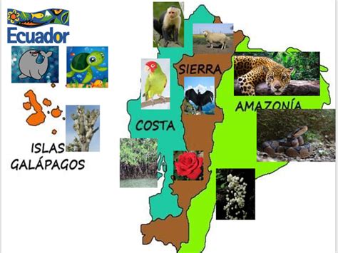 Flora Y Fauna Del Ecuador Flora Y Fauna De Ecuador Caracter Sticas Y