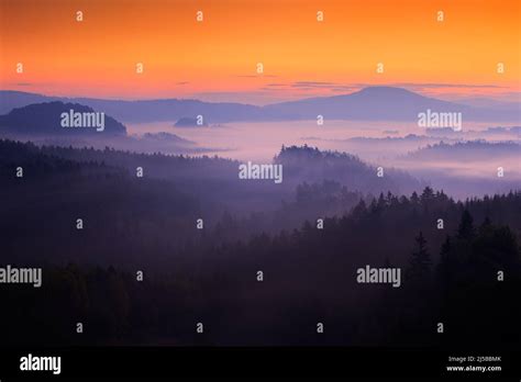 Cold Misty Foggy Morning With Twilight Sunrise In A Fall Valley Of