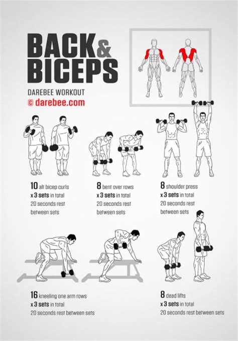 You're not going to lose only belly fat, but maybe you meant to differentiate fat from muscle? Back and biceps | Back and biceps, Biceps workout, Dumbbell workout