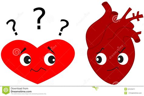 Heart Versus Real Human Heart Cartoon Illustration Stock Illustration