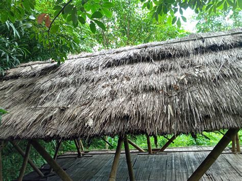 How Do Tribals In Tripura Build Their Bamboo Houses