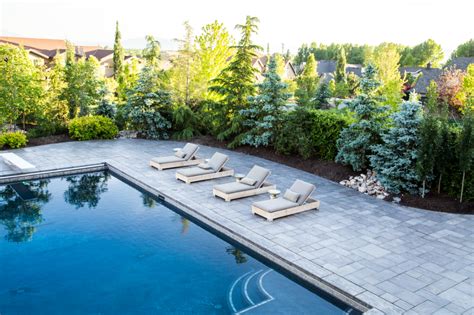 Pool Landscaping Ideas To Dip Your Toes In Big Rock Landscaping