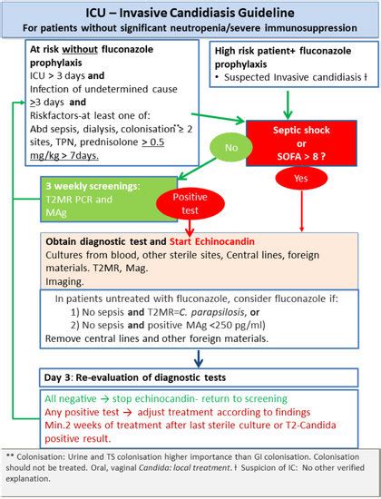 Diagnosis And Testing Invasive Candidiasis Candidiasis Types Of Hot