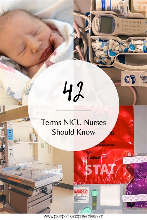 Nicu Lingo 42 Nicu Terms For New Nurses Passports And Preemies