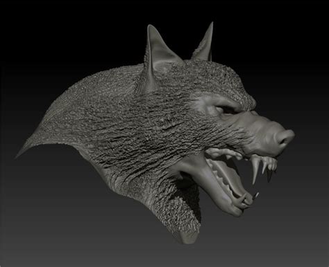 Werewolf Zbrush High Poly Project 3d Model Cgtrader