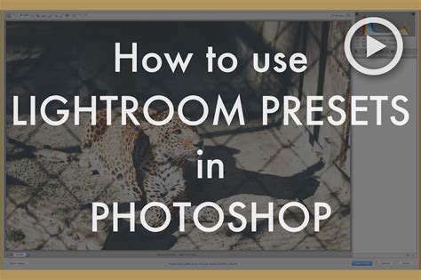 How to install lightroom mobile presets. Preset Brewery App | Drag & Drop Lightroom Preset ...