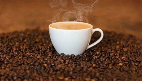 The neverending list of ground coffee types, from different regions, different coffee brands, and different harvesters, and manufacturers can. 12 Best Ground Coffee 2019 - Reviews and Buying Guide ...