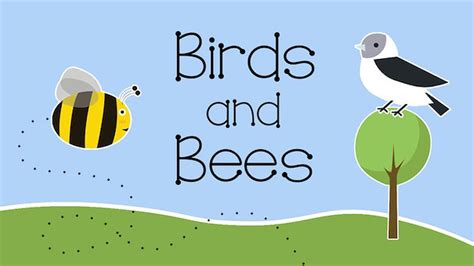 Birds And Bees Teaching Download Youth Ministry
