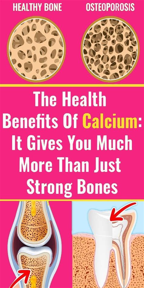 the health benefits of calcium it gives you much more than just strong bones wellness magazine