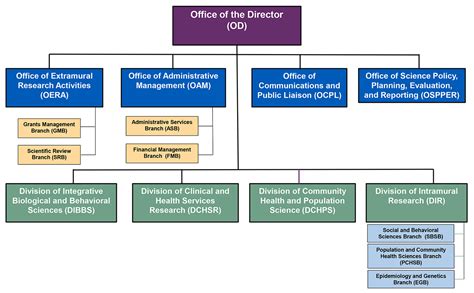 Organizational Structure