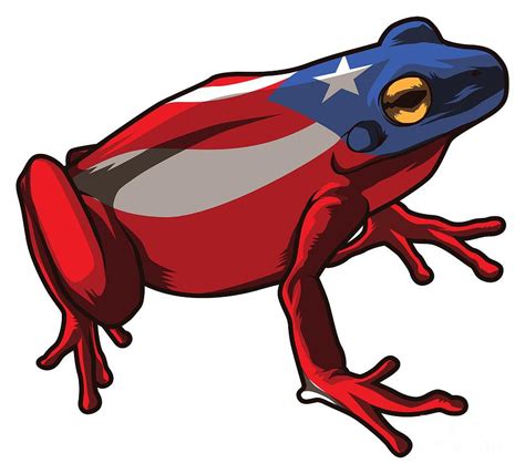 Coqui Puerto Rico Dibujo