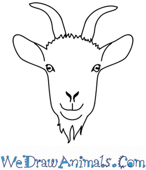 28 Learn Goat Drawing Ideas With Drawing Tutorial Diy Crafts