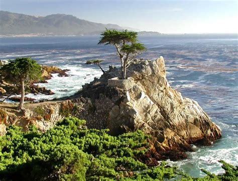 Lone Cypress 17 Mile Drive Monterey Peninsula Carmel California