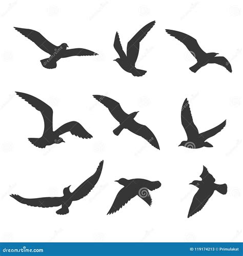 Seagull Silhouette Set Isolated On White Background Vector Set Flying