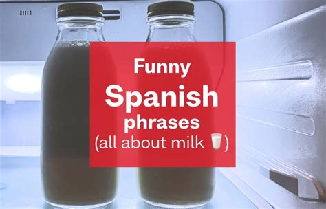 10 Funny Spanish Phrases You Have To Learn Busuu Blog