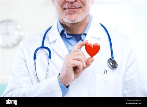 Doctor Holding An Heart Cardiologist And Cardiovascular Diseases