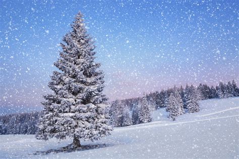 Snow Fall Wallpapers Top Free Snow Fall Backgrounds Wallpaperaccess