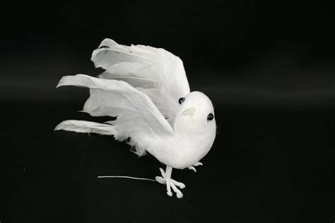 Download Spread your wings and soar high Wallpaper | Wallpapers.com