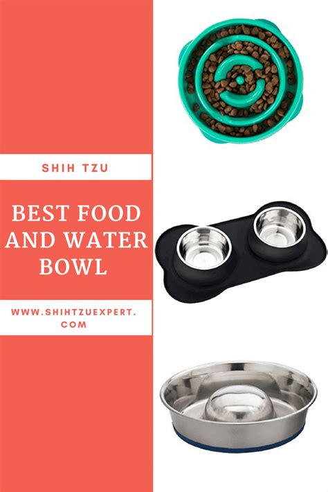 Best food for shih tzu puppy. Best food and water bowl for Shih Tzu | Shih tzu, Shih tzu ...