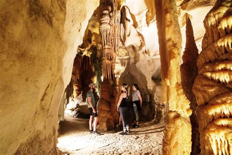 Enhanced Encounter At Princess Margaret Rose Cave Arime