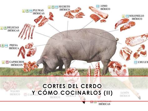 Cortes Del Cerdo Y Cómo Cocinarlos Parte Ii Carnicería San Cayo