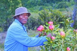 Südafrika, der regenbogenstaat, liegt an der südlichen spitze des afrikanischen kontinents zwischen dem indischen und dem atlantischen ozean. Bevölkerung, Sprachen und Religion | Südafrikaurlaub.net