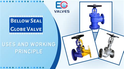 Bellow Seal Globe Valve Uses And Working Principle Eg Valves