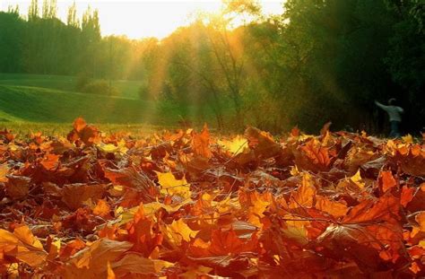 Осень любовь красивые картинки 100 фото • Прикольные картинки и позитив