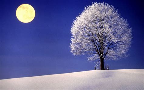 Download Moon Snow Tree Nature Winter Wallpaper