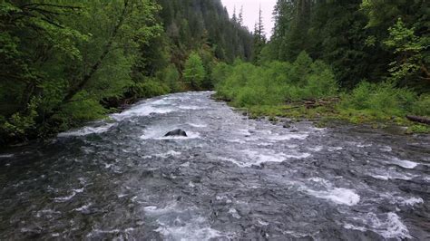 River Flowing Downstream As Viewed From Above Stock Video Footage