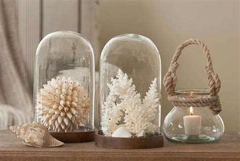 Three Glass Cloches With Seashells In Them Sitting On A Shelf Next To A