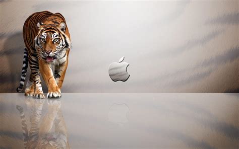 Cool Mac Desktop Backgrounds Wallpaper Cave