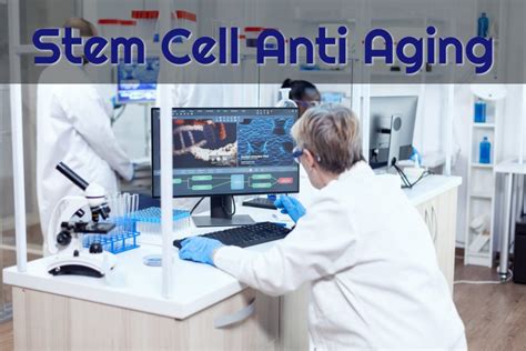 stem cell anti aging how it works and what to expect dreambody clinic