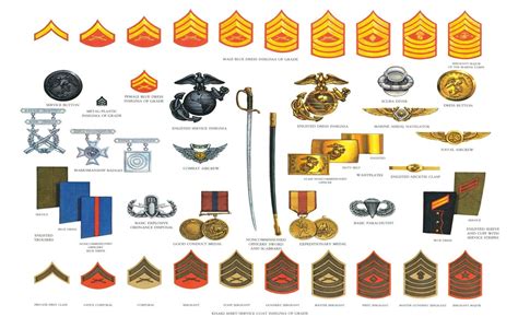 Official Military Insignia With Images Marine Corps Uniforms
