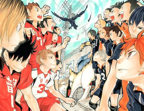 Haikyuu Cats Vs Crows 960x741 Download Hd Wallpaper Wallpapertip