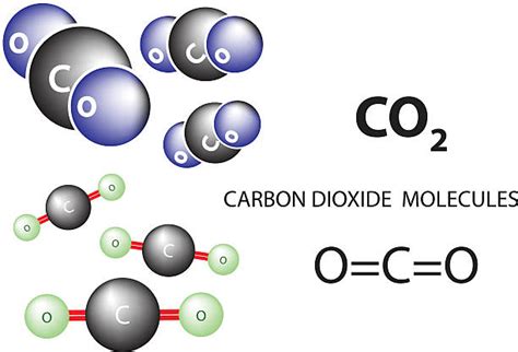 Best Carbon Dioxide Molecule Illustrations Royalty Free Vector