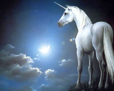 A collection of the top 64 unicorn wallpapers and backgrounds available for download for free. Unicorn Wallpaper HD 02555 - Baltana